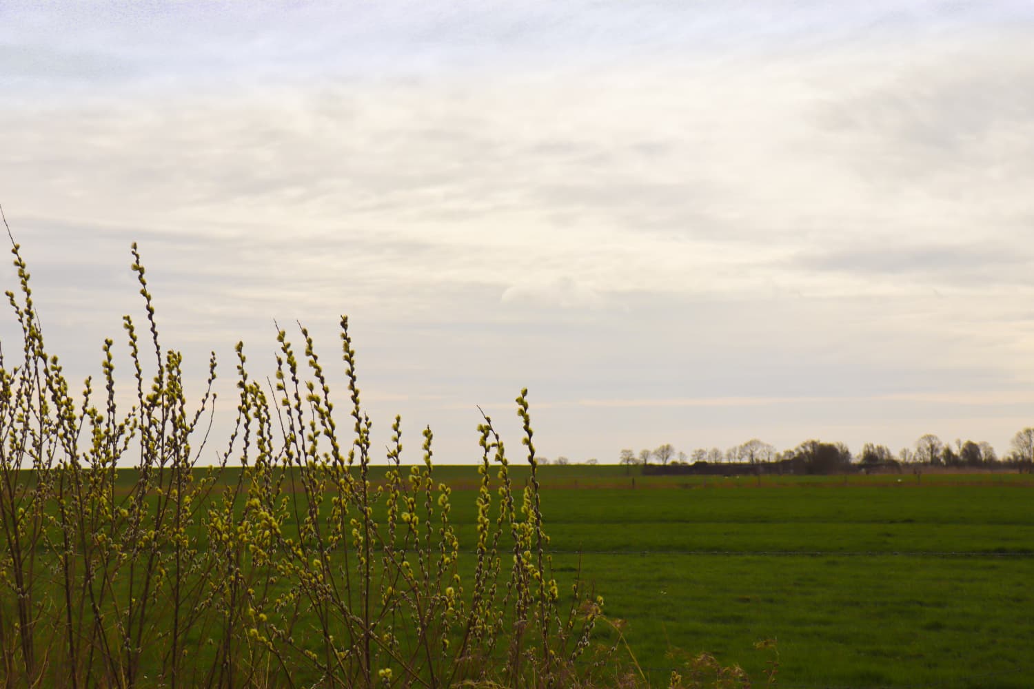 Eigene Terrasse am Hafen